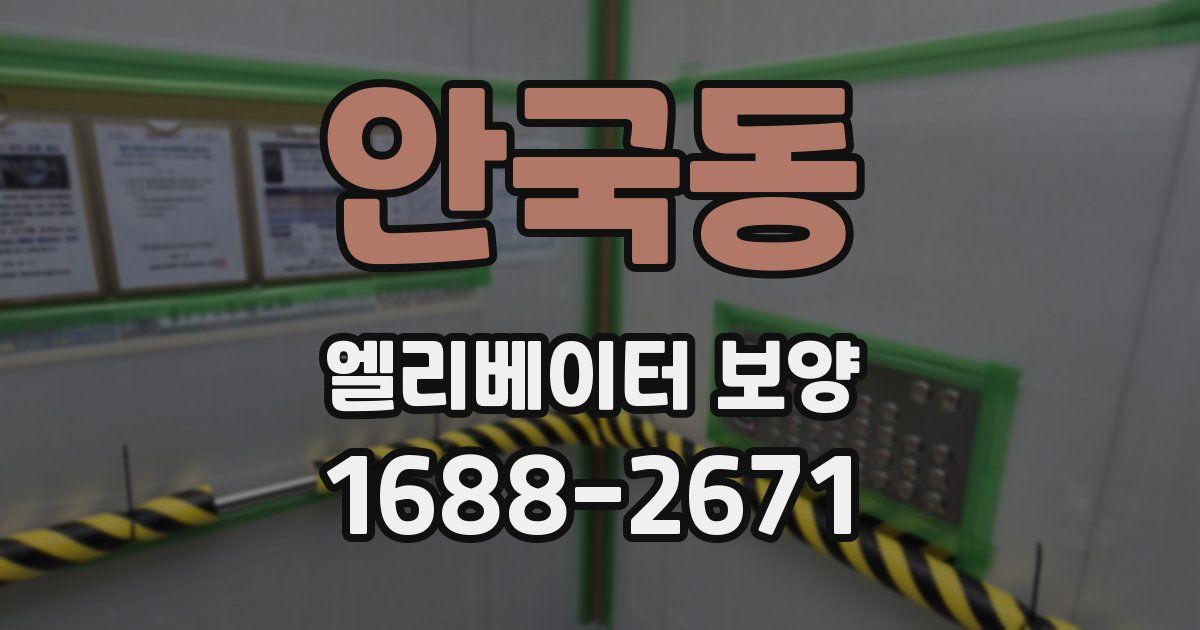 안국동 엘리베이터 보양