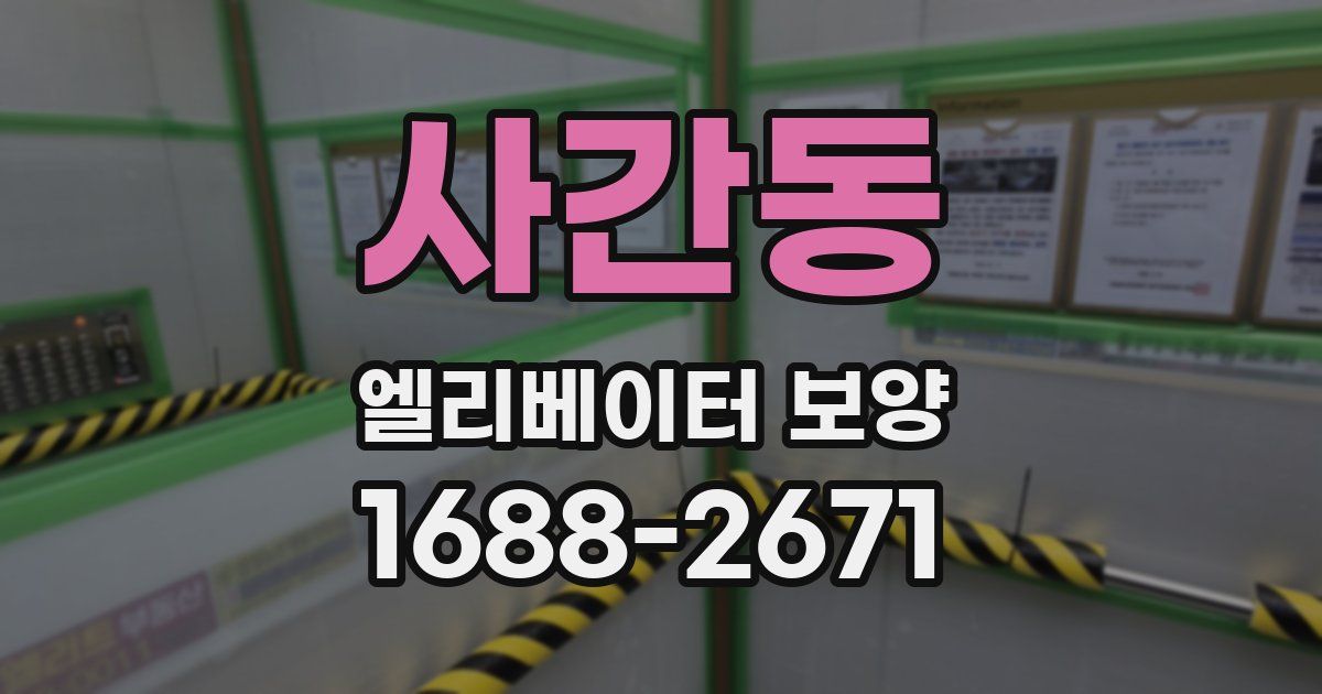 사간동 엘리베이터 보양