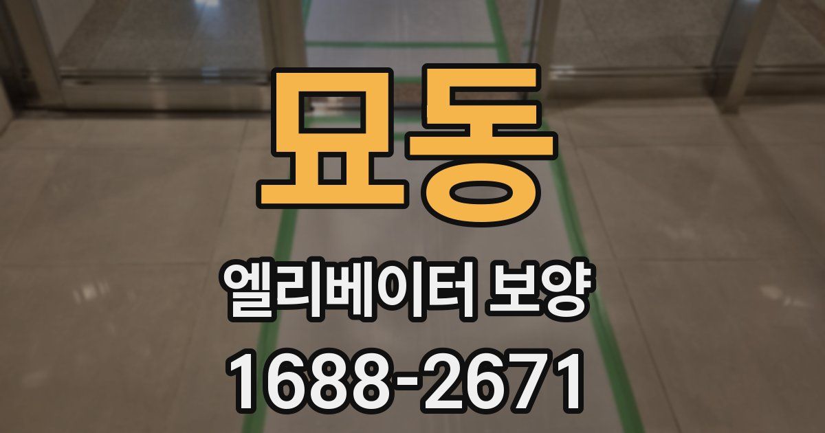 묘동 엘리베이터 보양
