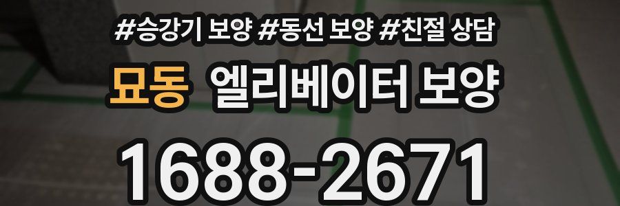 묘동 엘리베이터 보양