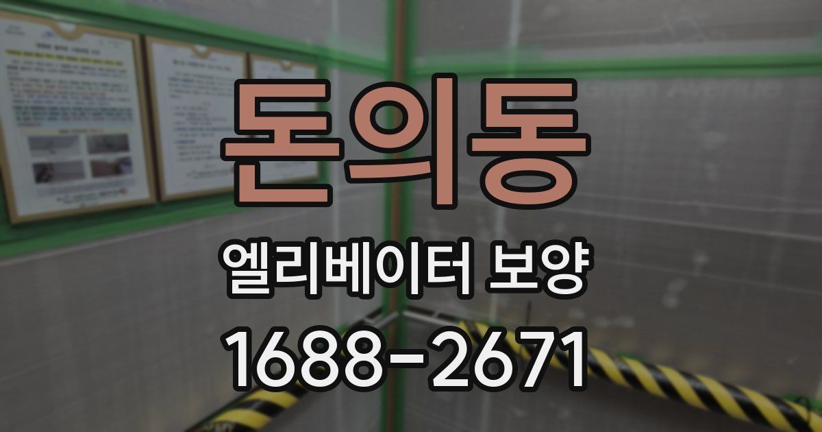 돈의동 엘리베이터 보양