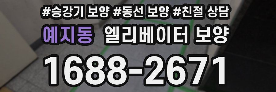 예지동 엘리베이터 보양