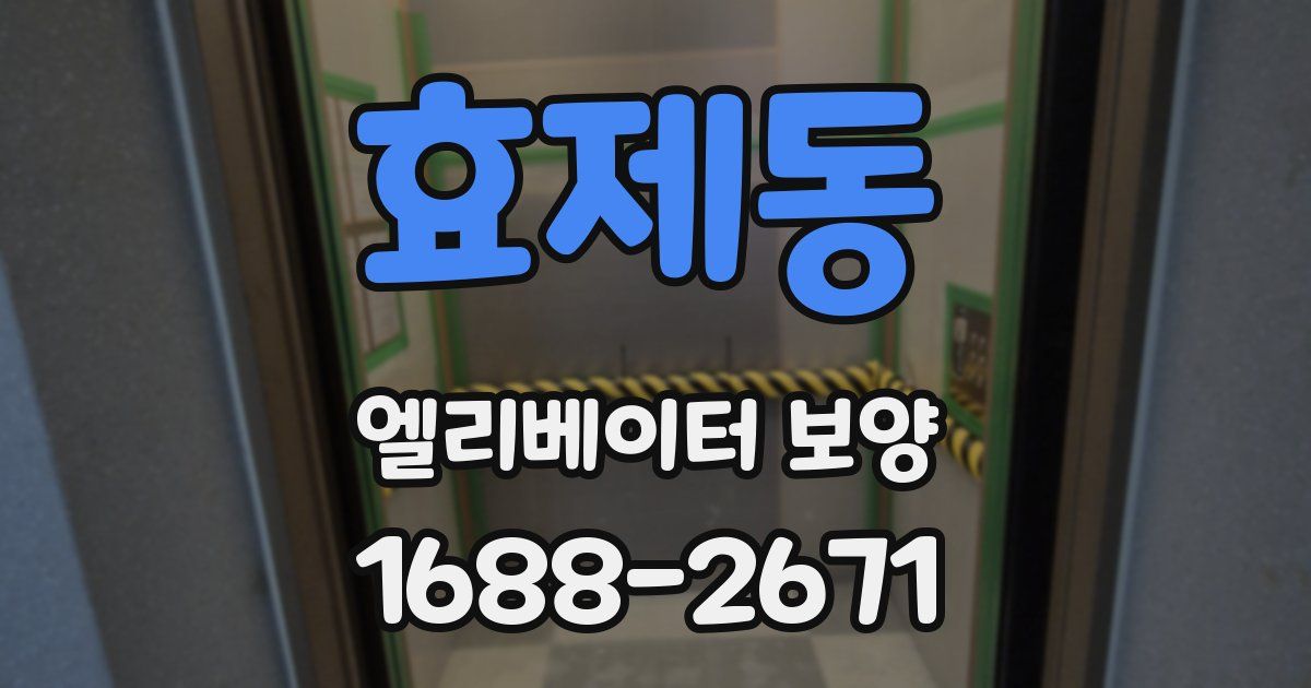 효제동 엘리베이터 보양