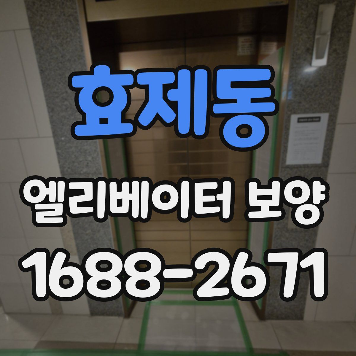 효제동 엘리베이터 보양