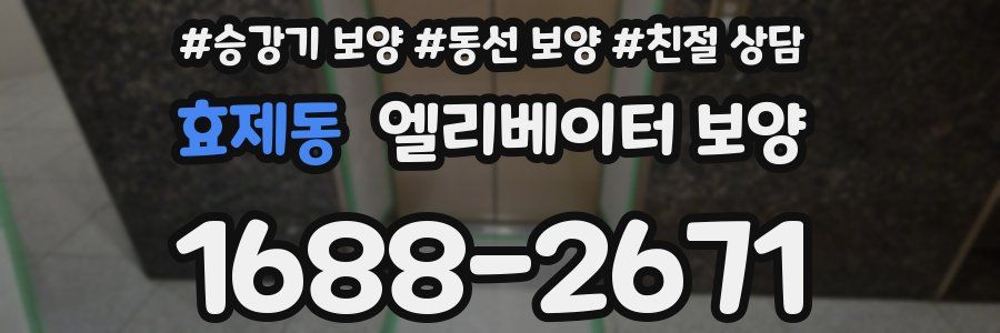 효제동 엘리베이터 보양