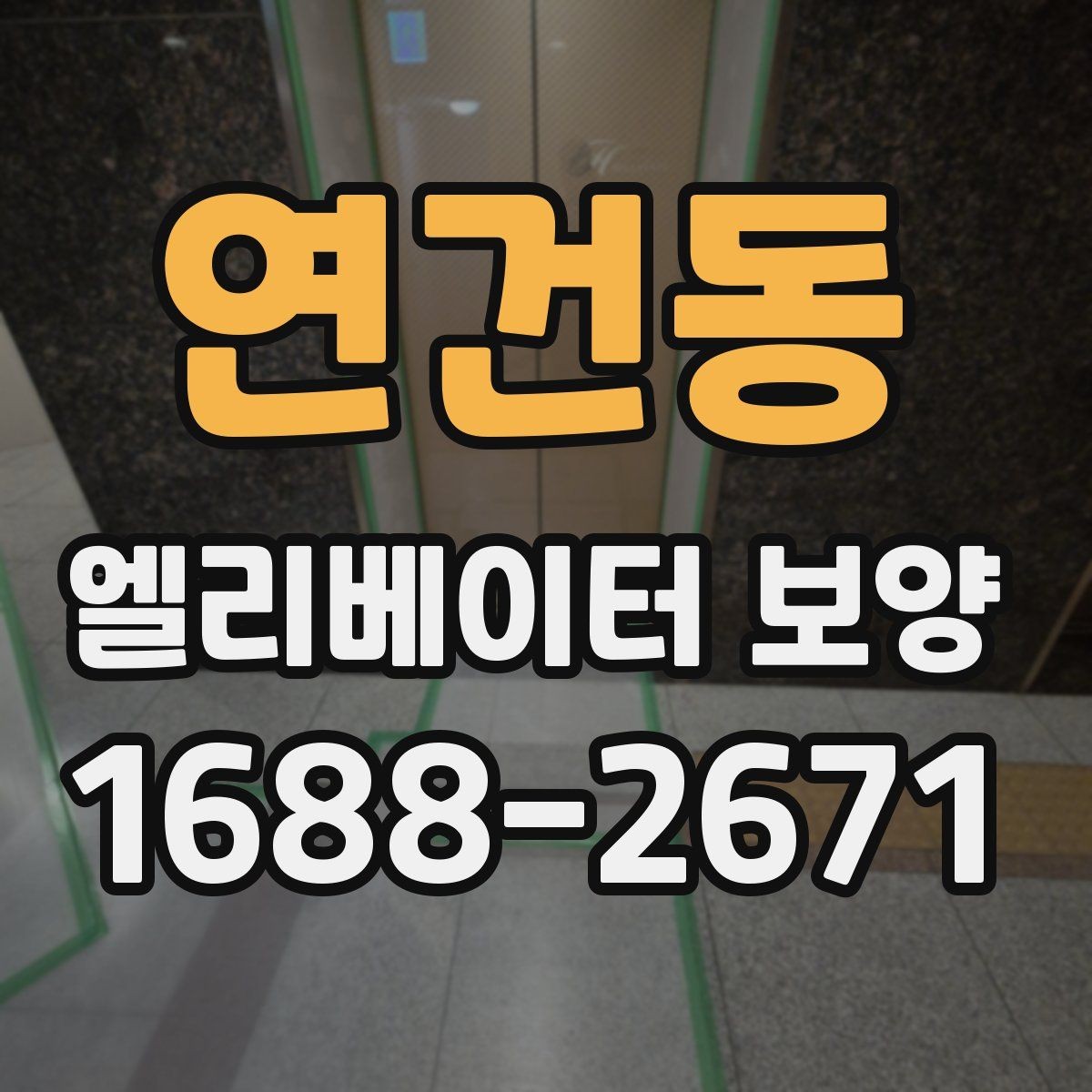 연건동 엘리베이터 보양 재료별 장단점 간단 비교