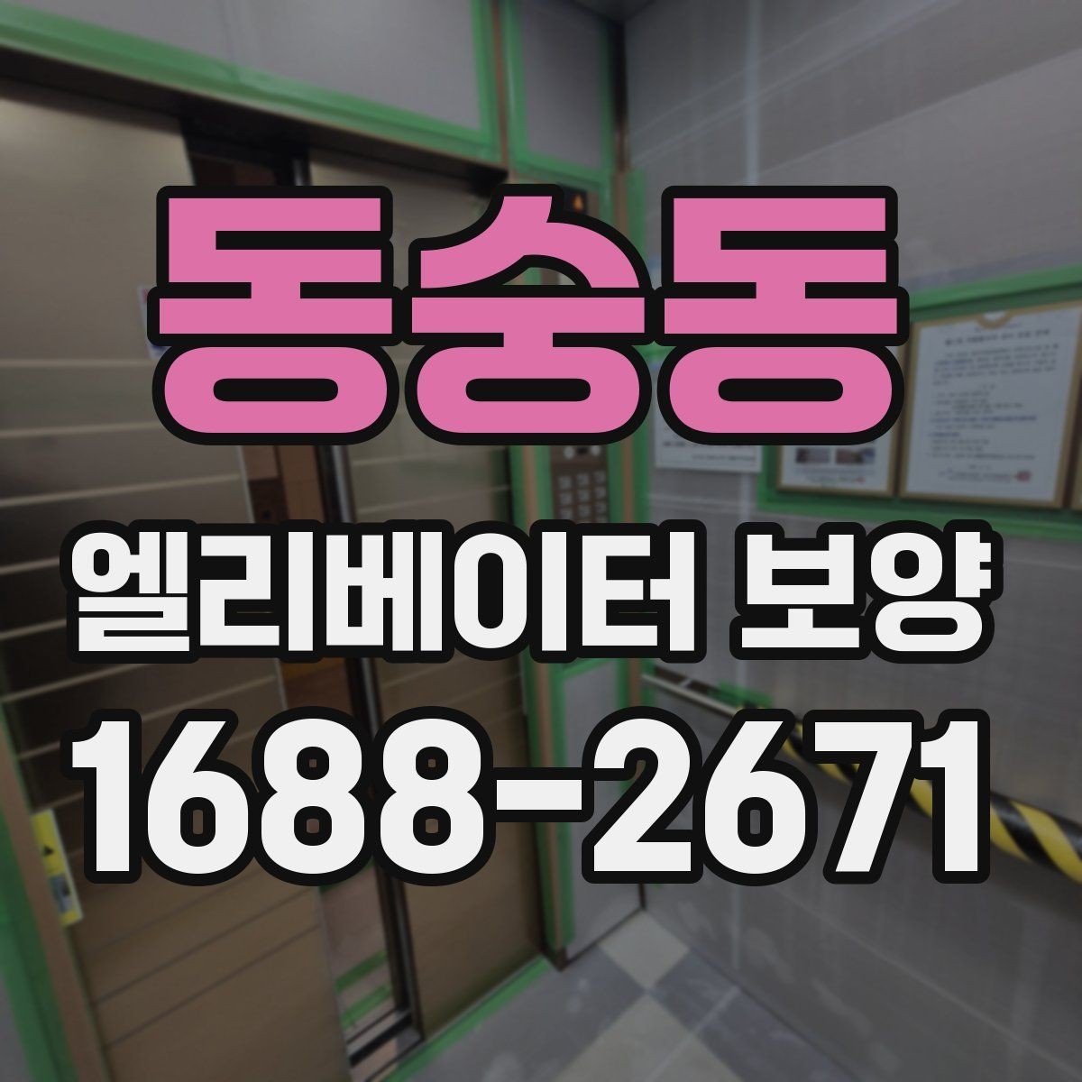 동숭동 엘리베이터 보양 작업 범위를 정하는 기준