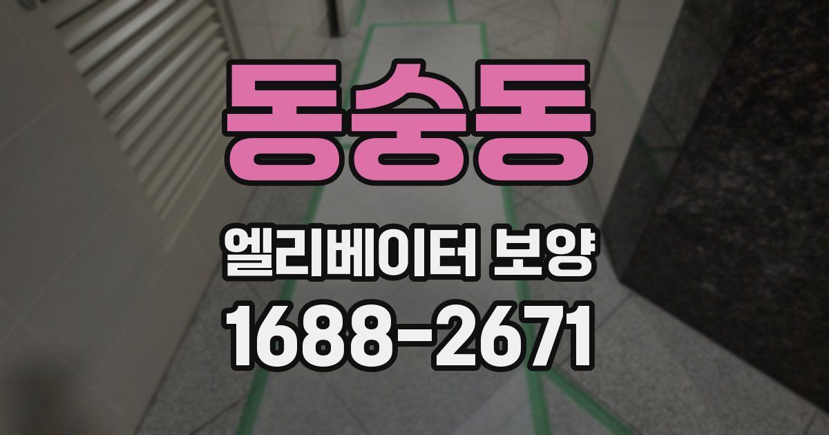 동숭동 엘리베이터 보양