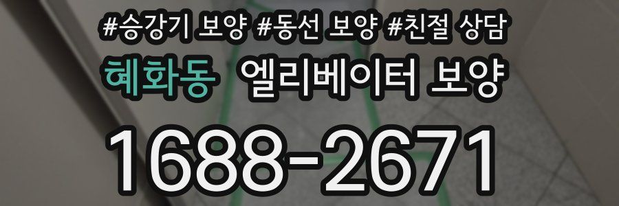 혜화동 엘리베이터 보양