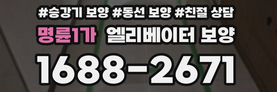 명륜1가 엘리베이터 보양