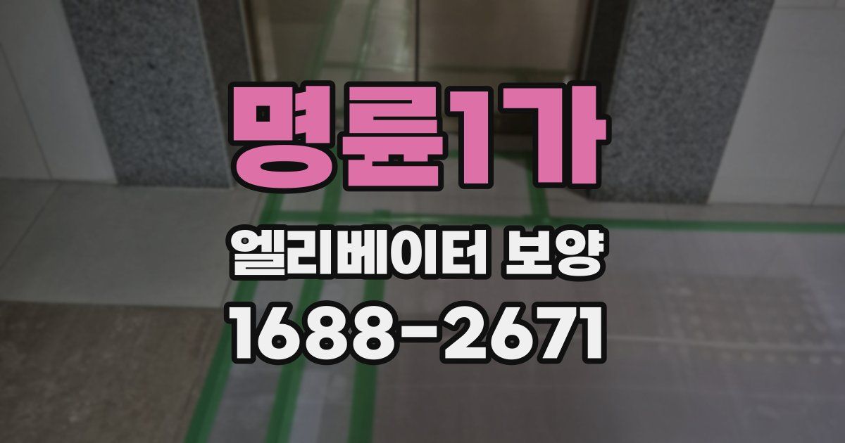 명륜1가 엘리베이터 보양