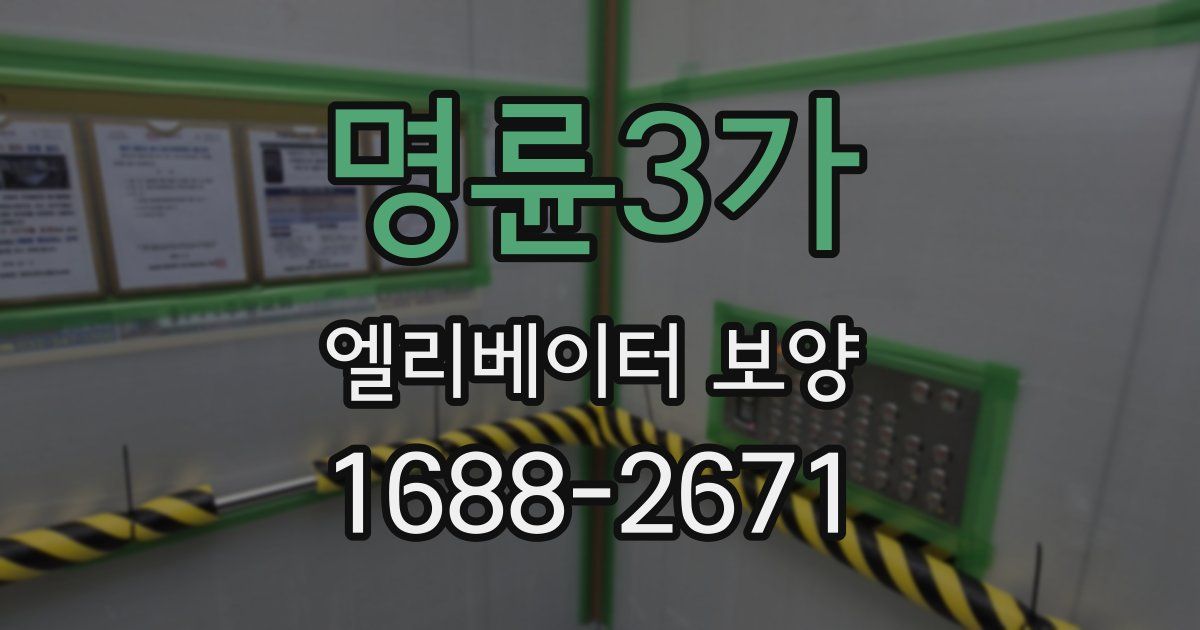 명륜3가 엘리베이터 보양