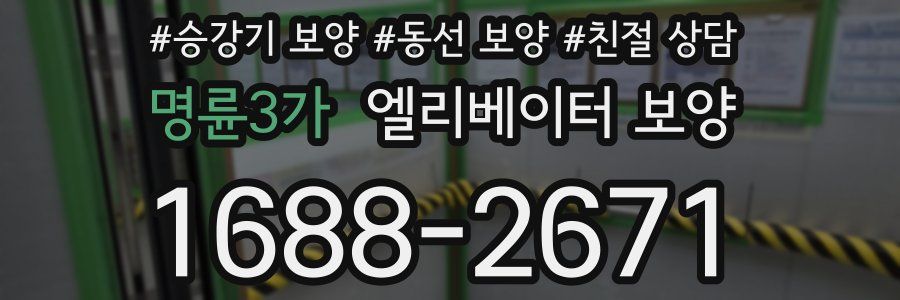 명륜3가 엘리베이터 보양