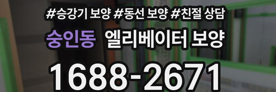 숭인동 엘리베이터 보양