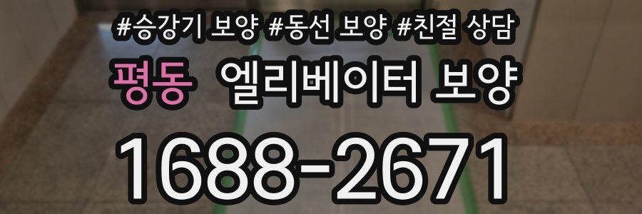 평동 엘리베이터 보양