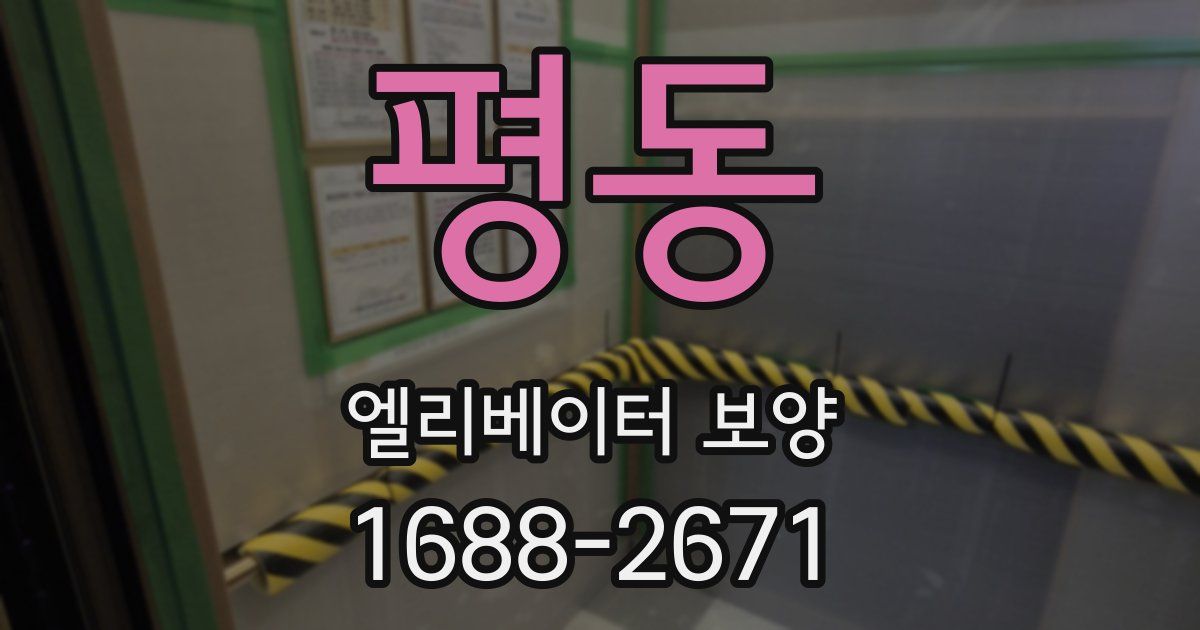 평동 엘리베이터 보양