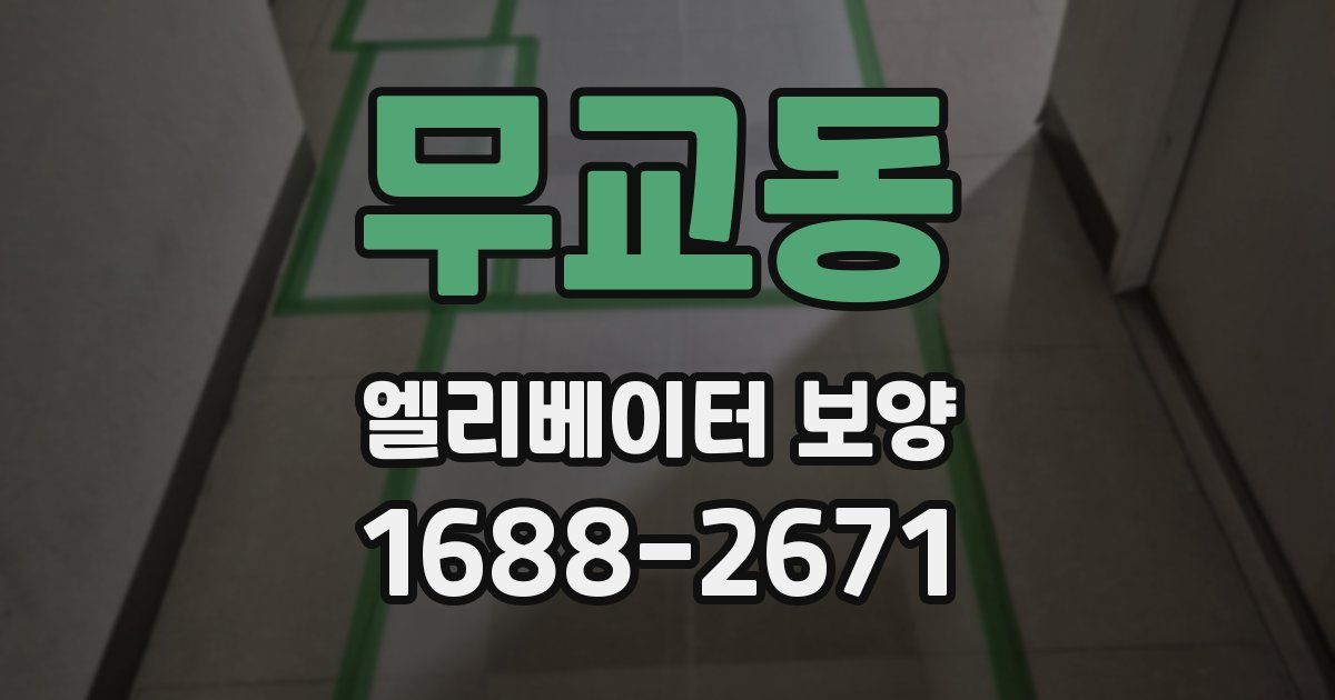 무교동 엘리베이터 보양