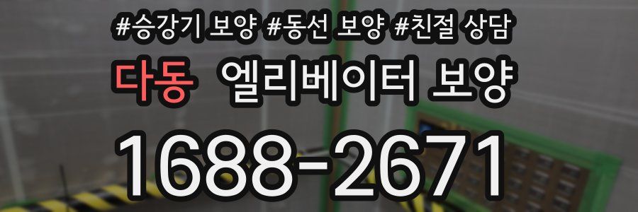 다동 엘리베이터 보양