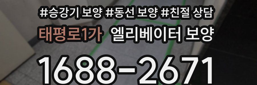 태평로1가 엘리베이터 보양