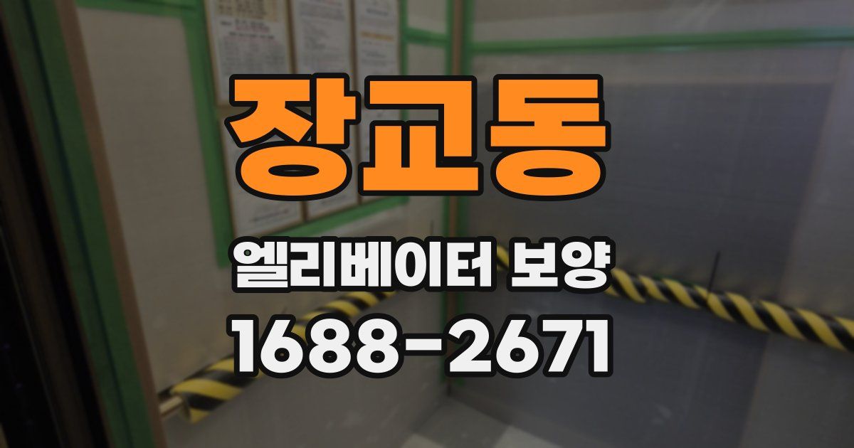 장교동 엘리베이터 보양