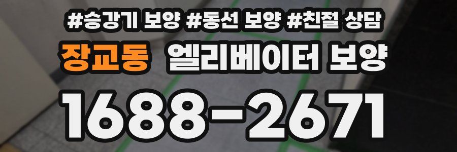 장교동 엘리베이터 보양