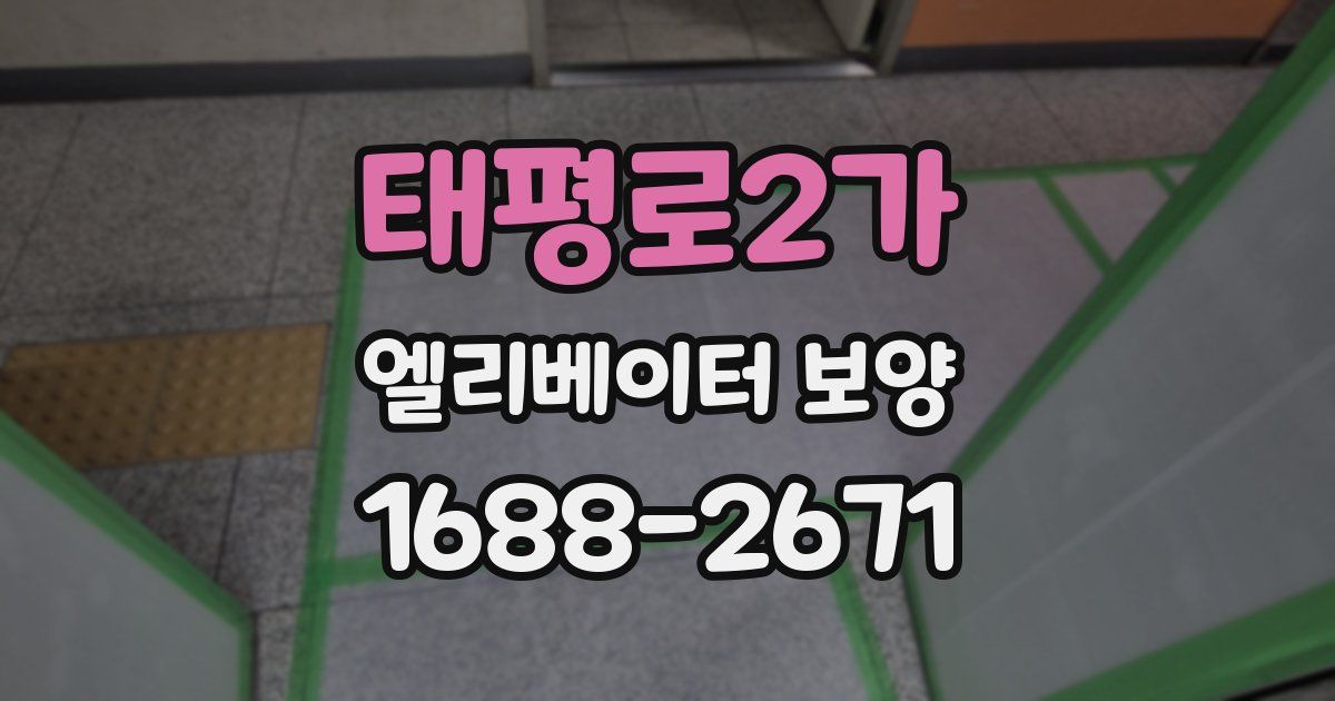 태평로2가 엘리베이터 보양