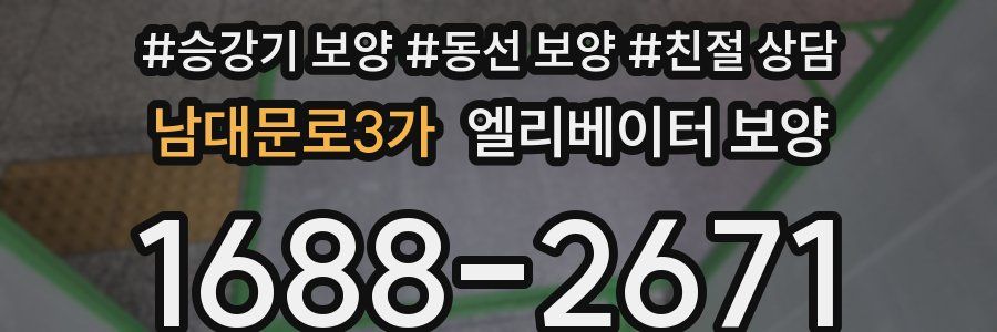 남대문로3가 엘리베이터 보양