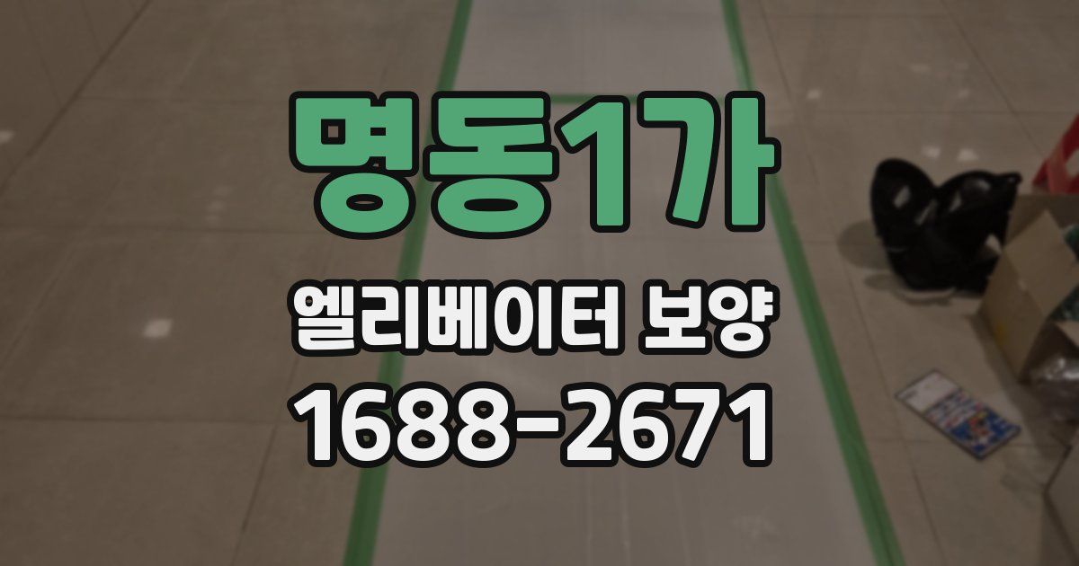 명동1가 엘리베이터 보양
