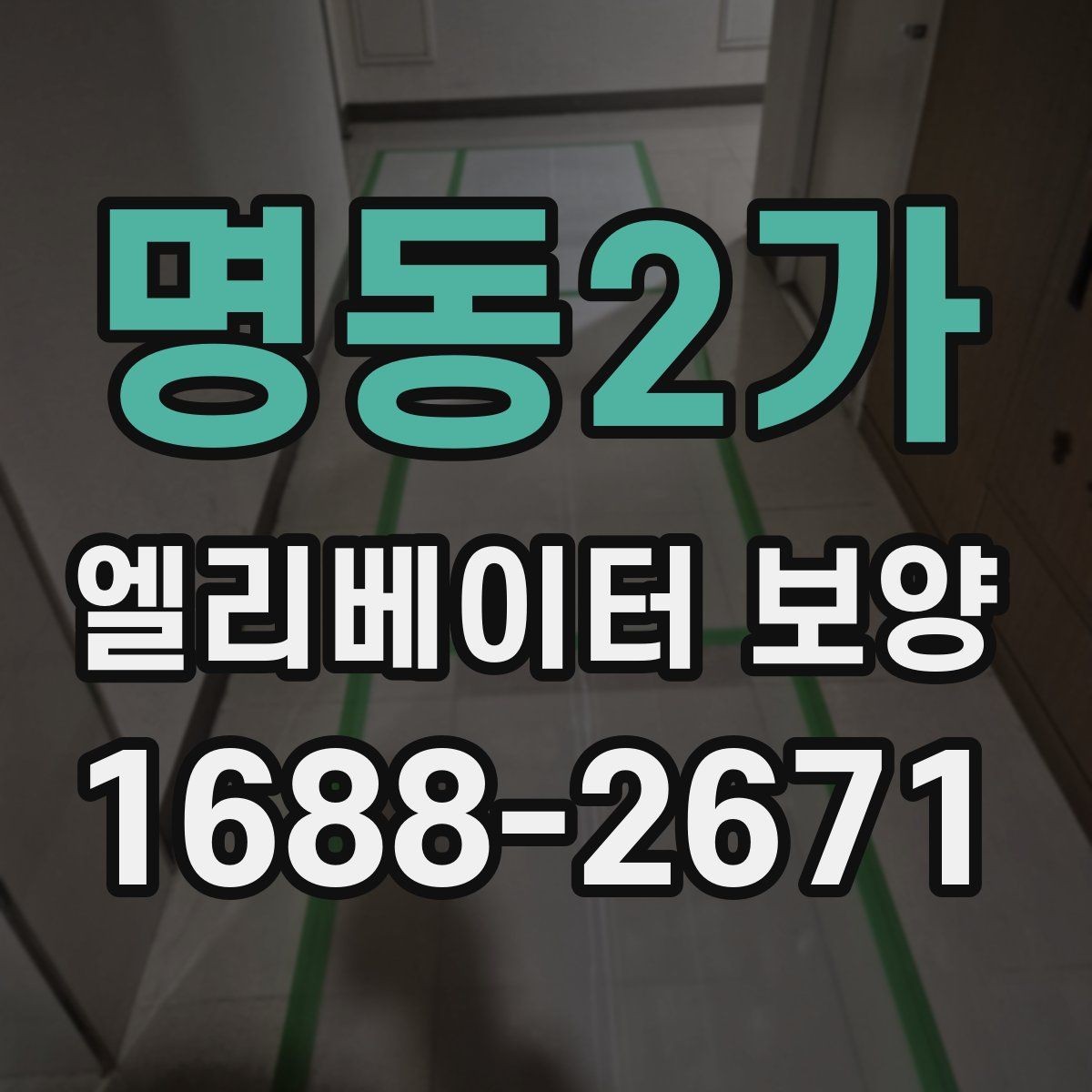 명동2가 엘리베이터 보양 현장 사진으로 보는 진행 방식