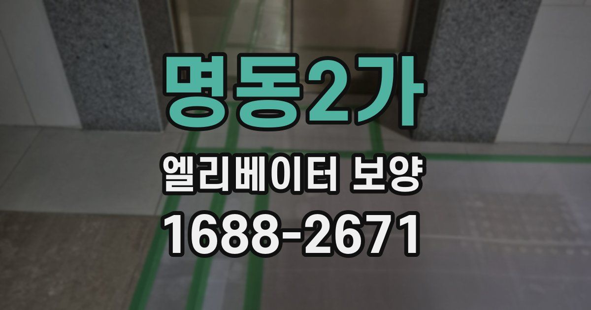 명동2가 엘리베이터 보양