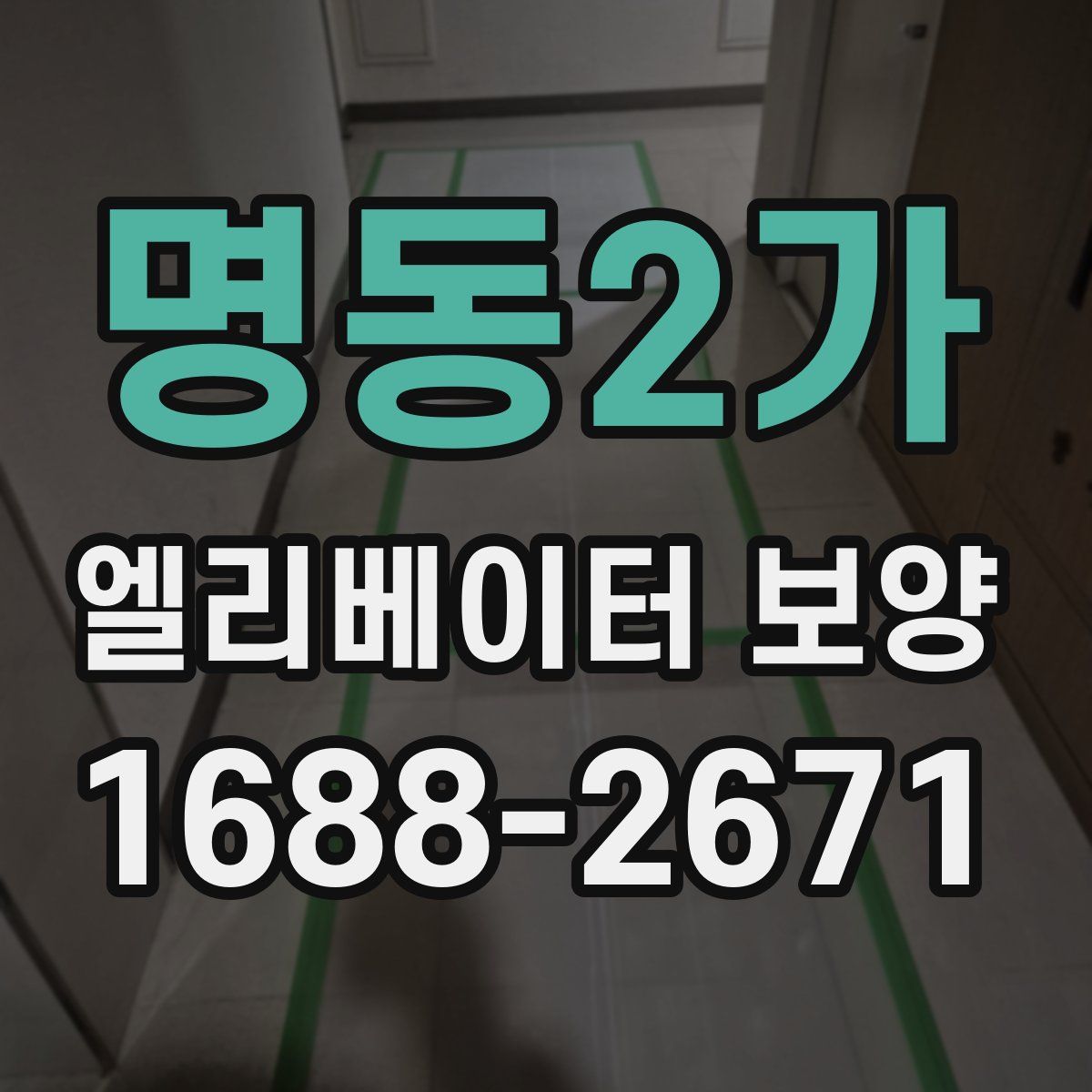 명동2가 엘리베이터 보양