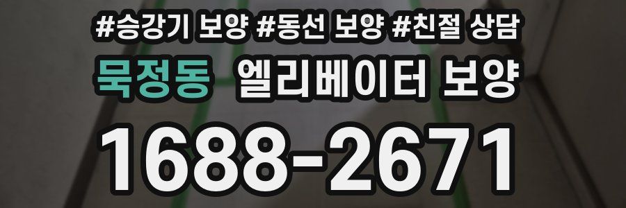 묵정동 엘리베이터 보양