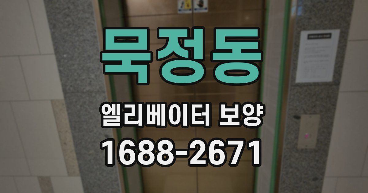 묵정동 엘리베이터 보양