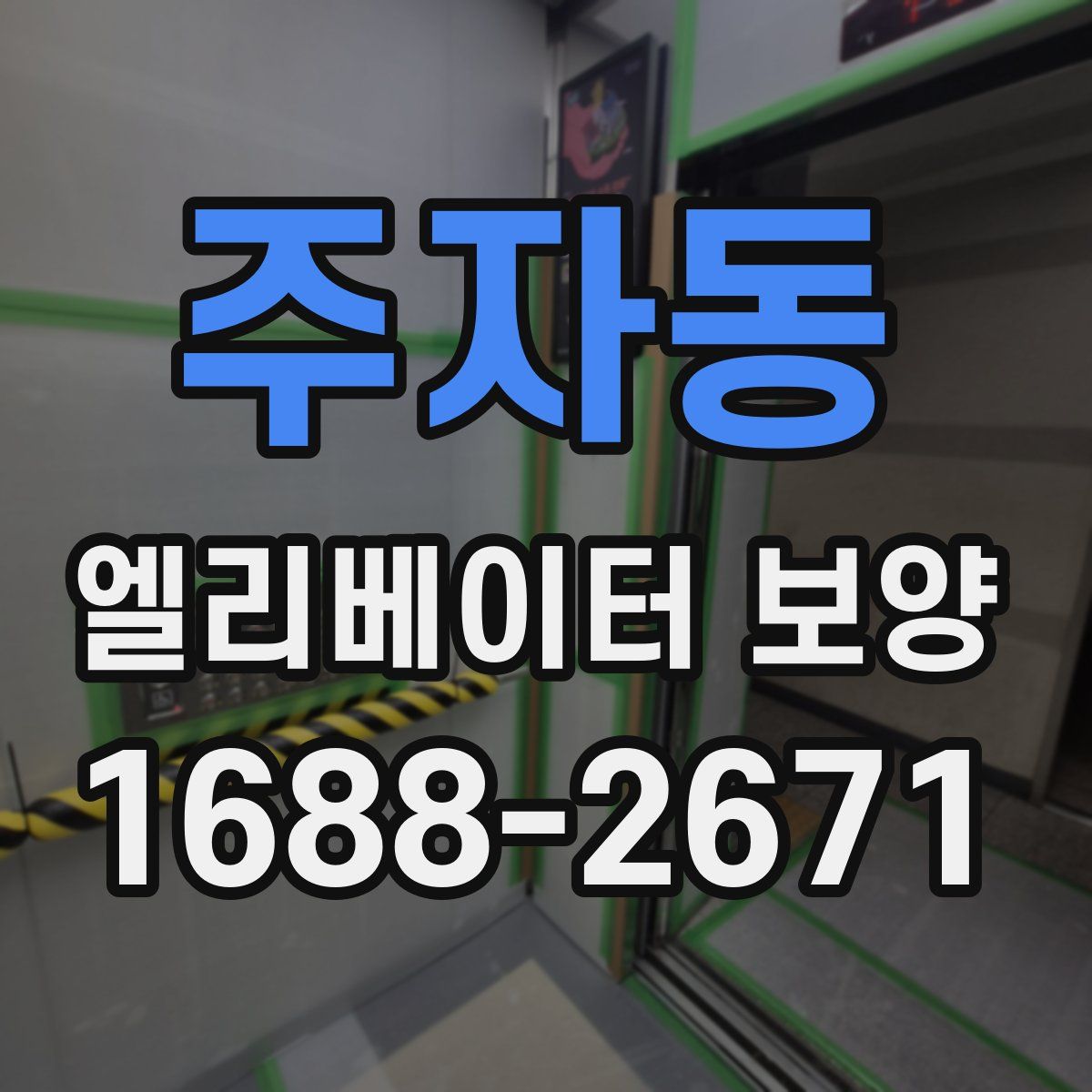 주자동 엘리베이터 보양