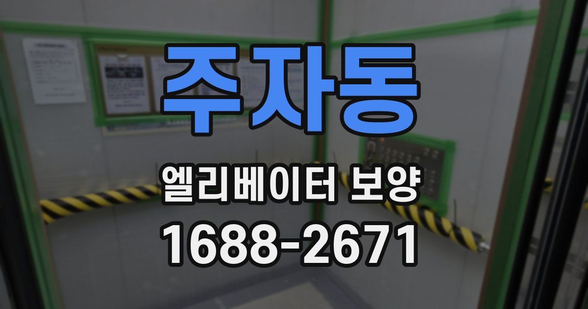 주자동 엘리베이터 보양