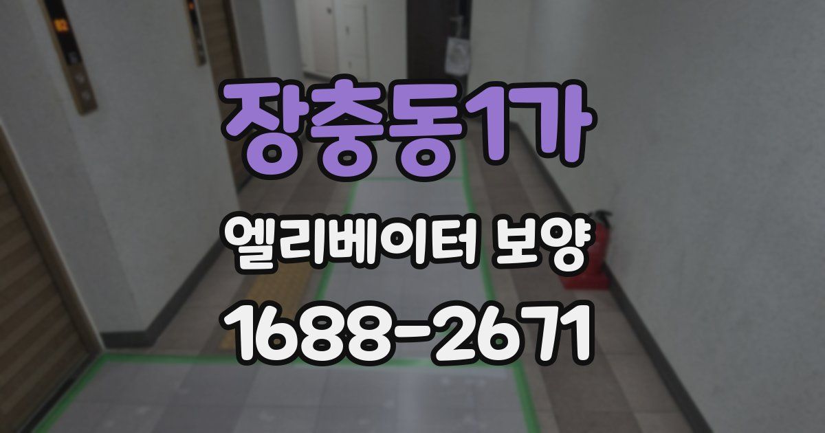 장충동1가 엘리베이터 보양