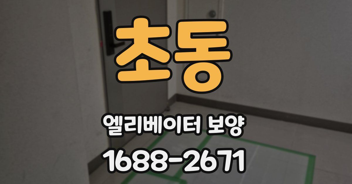 초동 엘리베이터 보양