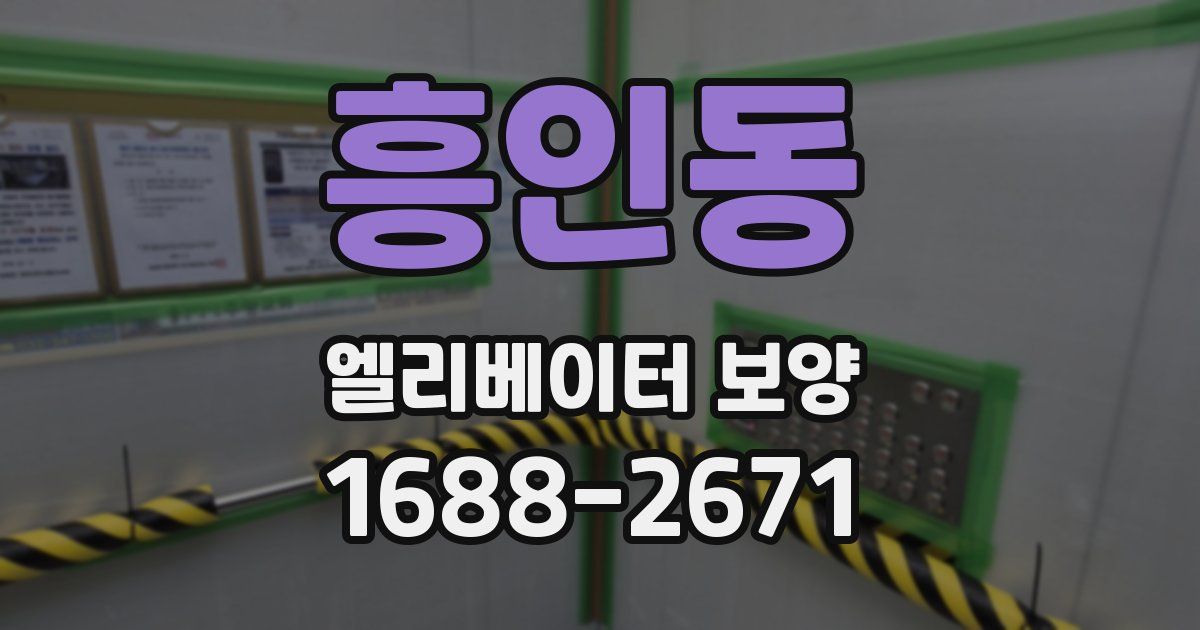 흥인동 엘리베이터 보양