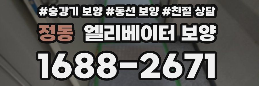 정동 엘리베이터 보양