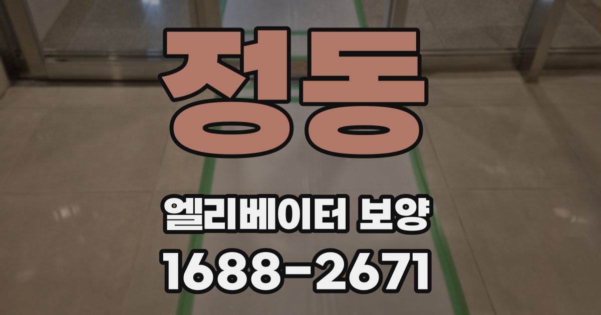 정동 엘리베이터 보양