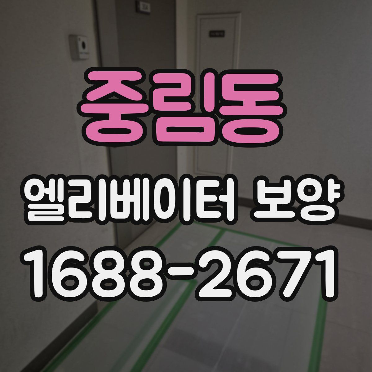 중림동 엘리베이터 보양