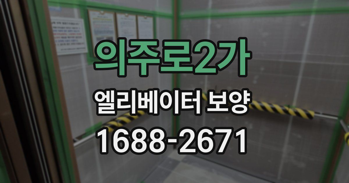 의주로2가 엘리베이터 보양