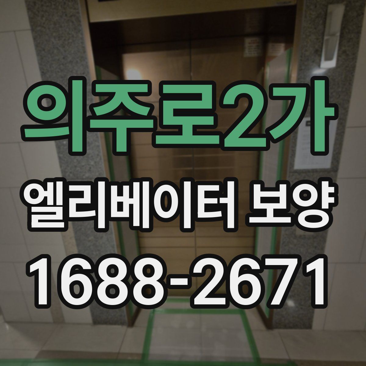 의주로2가 엘리베이터 보양