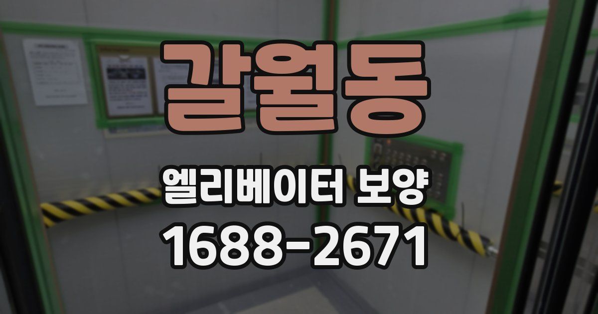 갈월동 엘리베이터 보양