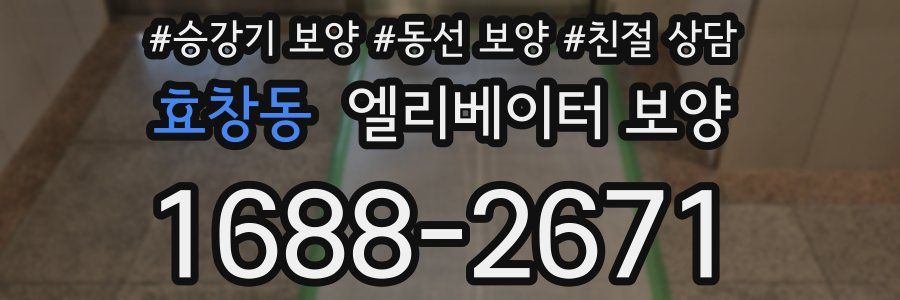 효창동 엘리베이터 보양