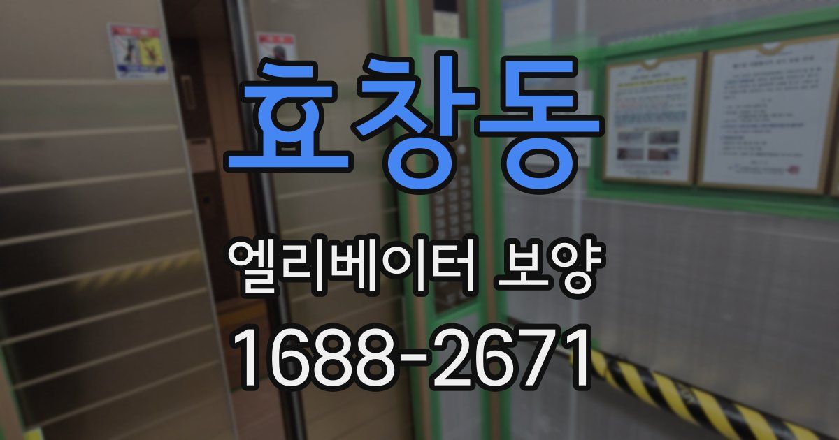 효창동 엘리베이터 보양