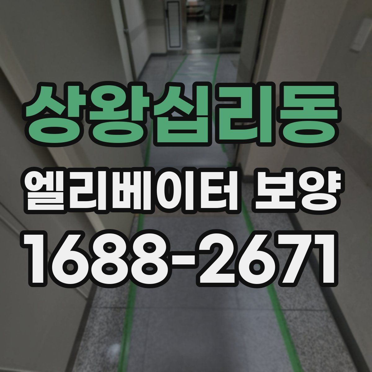 상왕십리동 엘리베이터 보양 견적 차이가 나는 이유를 정리하면