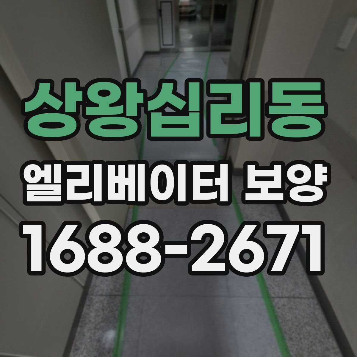 상왕십리동 엘리베이터 보양