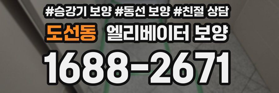 도선동 엘리베이터 보양