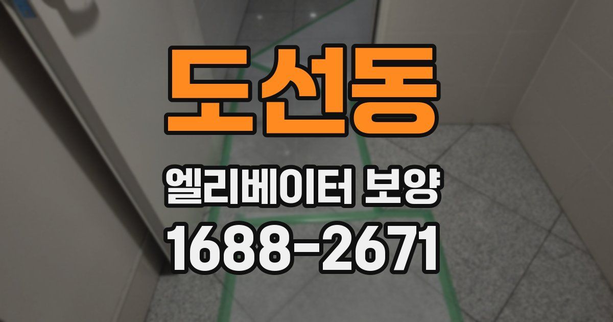 도선동 엘리베이터 보양